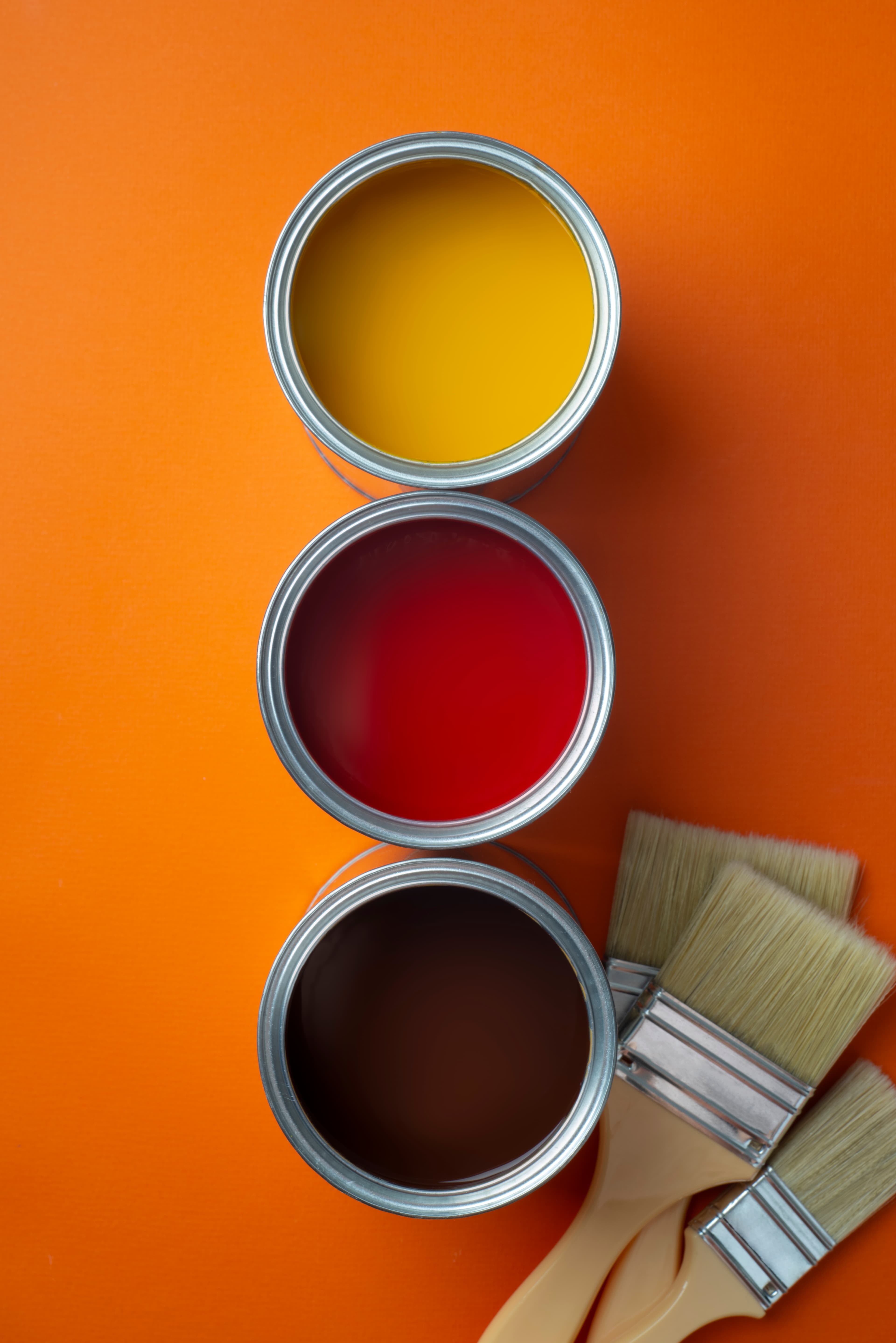 Smiling professional painter
